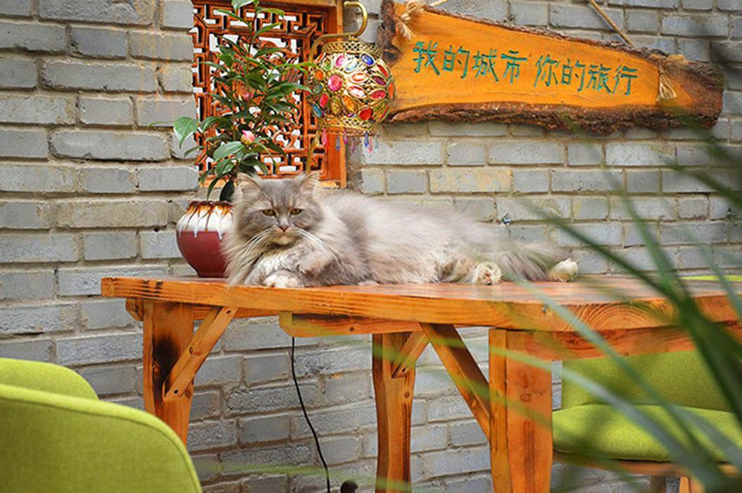 Luoyang Longmen Youth Hostel Zewnętrze zdjęcie